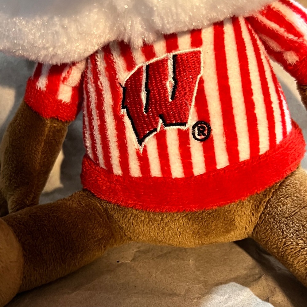 Fabrique Innovations Wisconsin Bucky Badger Plush Study Buddies Team Nerds Brown - Picture 3 of 8